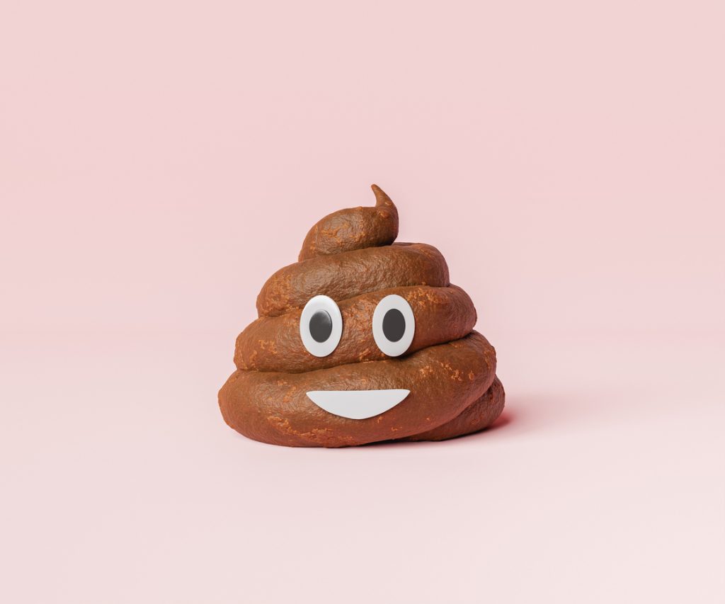 how to firm up dog poop