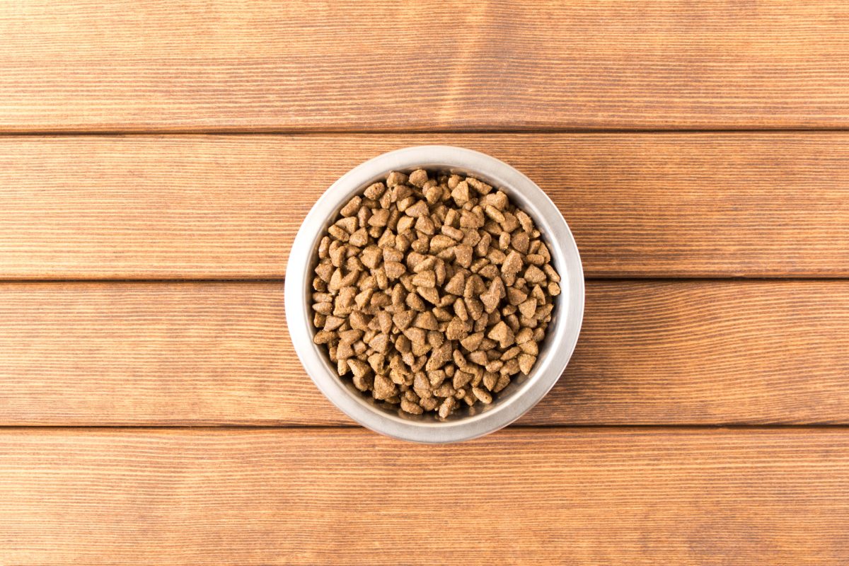 What Is in Commercial Dog Food?